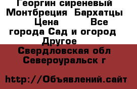 Георгин сиреневый. Монтбреция. Бархатцы.  › Цена ­ 100 - Все города Сад и огород » Другое   . Свердловская обл.,Североуральск г.